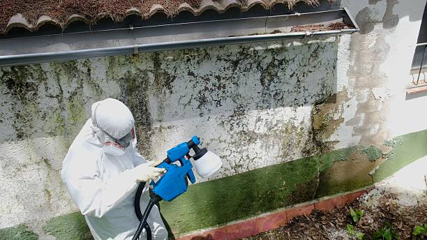 Top rated local Mold Remediation specialists in Cardinal, VA